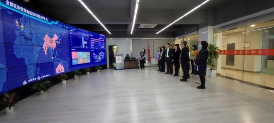 蔡佳麗副區長率隊赴上海開展區塊鏈技術招商考察，助力區域數字經濟發展